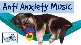 Relaxing Music for your Dog - Reduce Anxiety & Stress During Fireworks