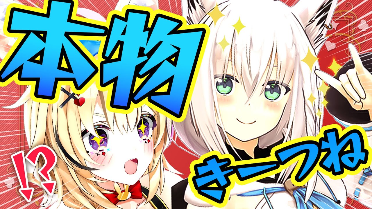 【ポルカの伝説】五月病を吹き飛ばす白上プロ