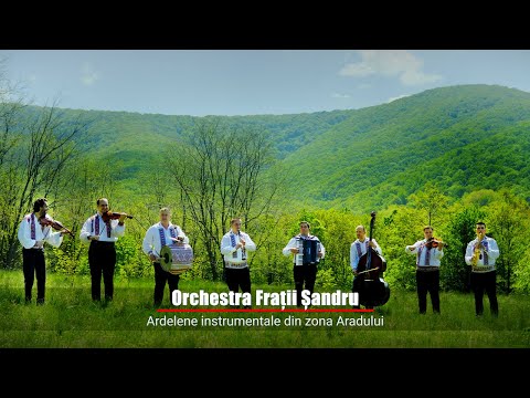 Orchestra Fratii Sandru - Ardelene din zona Aradului