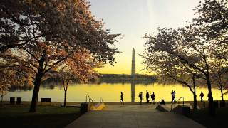 KEIKO MATSUI "Cherry Blossom"