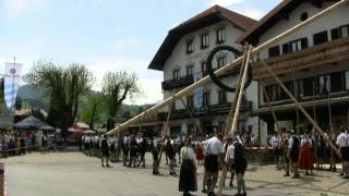 preview picture of video 'Maibaumaufstellen in Bergen 2012.mp4'