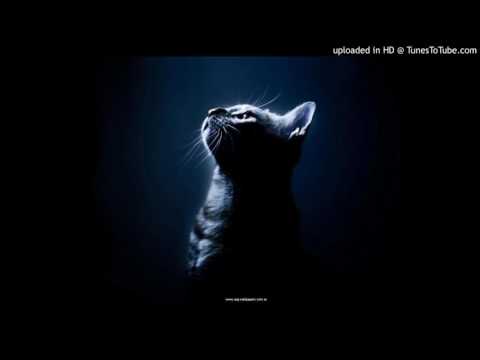 Sumptuastic - One Love