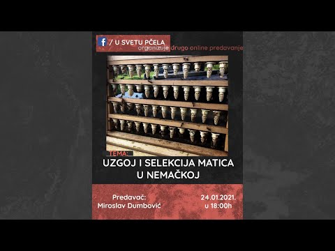 Uzgoj i selekcija matica u Nemačkoj