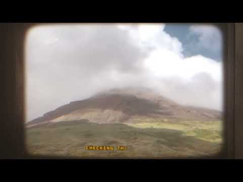 Solardo x Vintage Culture x LOWES - Adidas & Pearls (Lyrics)