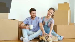 Complete Guide To Moving With Pets In Brisbane