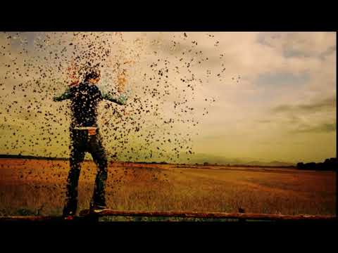 FRANK DOBERITZ & OLIVER SCHLOLAUT - SEA OF LOVE  (TRANQUILITY COSMIC VOCAL MIX)