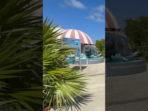 Thumbnail for Grand Turk Carnival Sunrise
