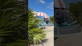 Grand Turk Carnival Sunrise