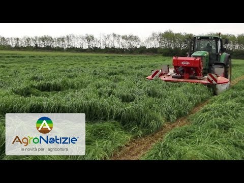 Assosementi: sezione Foraggere