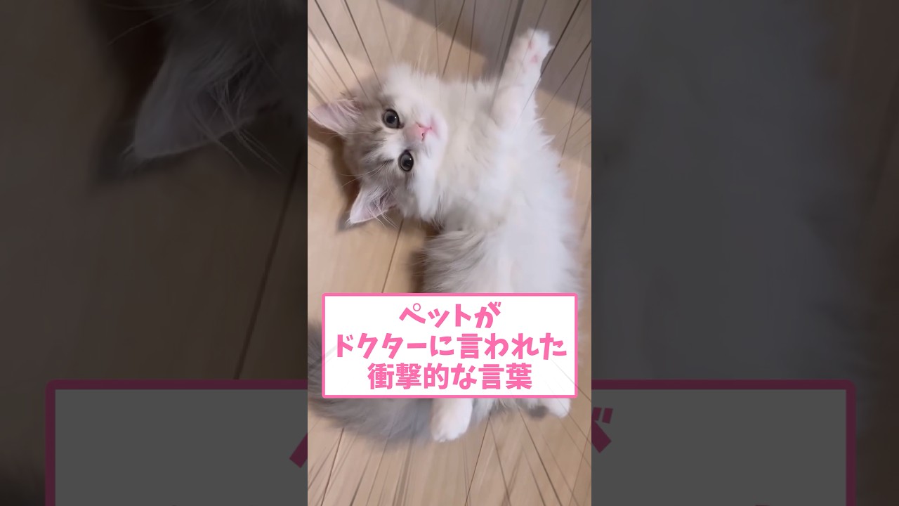 ペットがドクターに言われた衝撃的な言葉ww part174