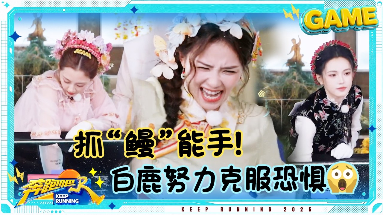 【抓鳗鱼🐟️】乱成一锅粥了！白鹿努力克服恐惧抓鳗鱼 孟子义说着最温柔的话抓最快的鱼 李晨抓鳗鱼?