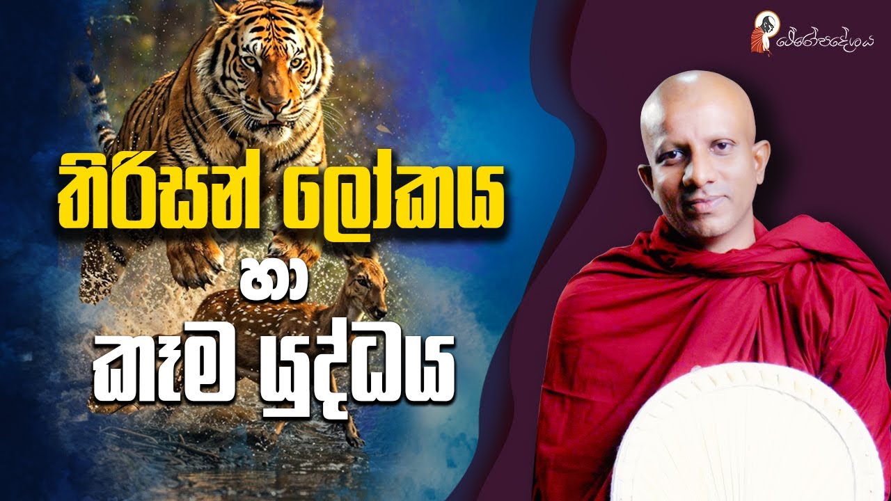 Ep 37 | තිරිසන් ලෝකයේ මරබිය