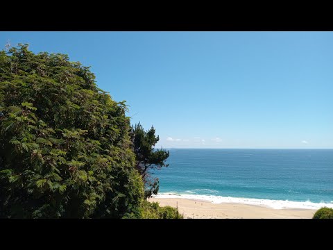 Algarrobo Norte | Valparaiso | Chile | Noviembre 2025