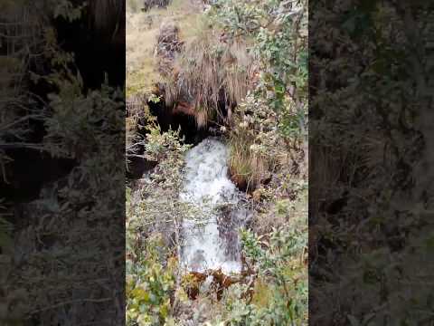 laguna del salado y sus quebradas caliché chitaga norte de Santander Colombia ♥️🇨🇴💯
