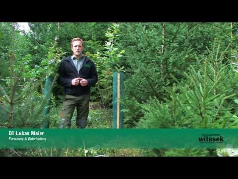 Baumschutzgitter ClimaLight von Witasek PflanzenSchutz GmbH