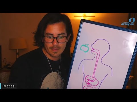 Day 294 CIRCULATORY & LYMPHATIC SYSTEM - Matias De Stefano - English Edit