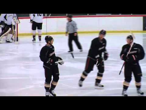 Selanne, Cogliano and Koivu Stand Out in Ducks Scrimmage