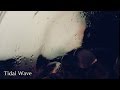 Naden Tidal Wave