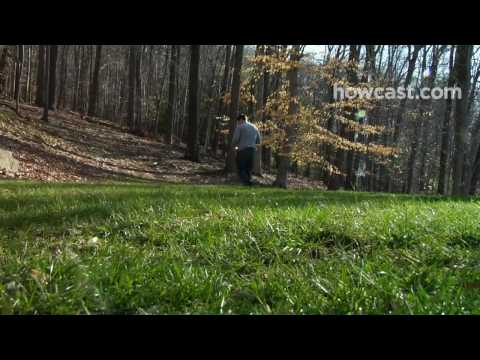 芝生に水をやる方法