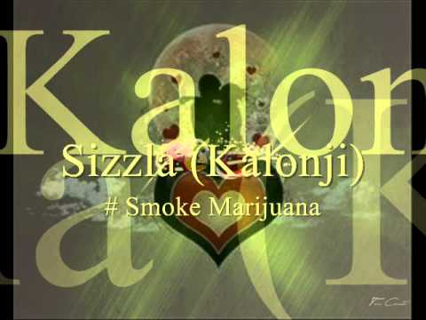 2012 Reggae Love Song Riddim Mix Vol.8 LadyTruthfulley - Sizzla - Alaine  - Wayne Wonder & More