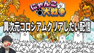【なかごえ大配信】異次元コロシアムクリアしたい配信【にゃんこ大戦争】