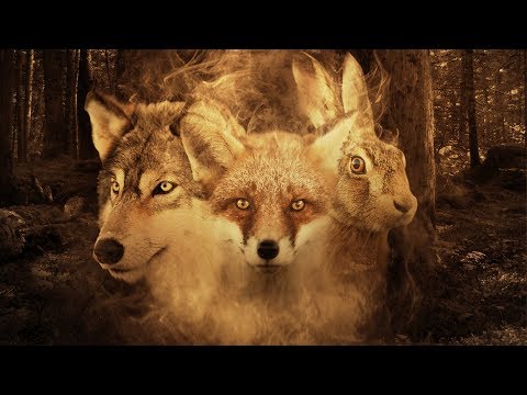 Vilsevind & Guillaume Lopez - Ulven, räven, haren  - J'ai vu le loup - Ai vist lo lop