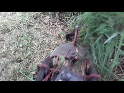 212 predator motor on a 22 inch kee mower