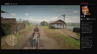 heiseigahakuがPS4からブロードキャスト　RDR2　単発