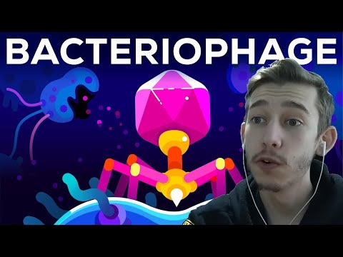 The Deadliest Being on Planet Earth – The Bacteriophage (Reaction)