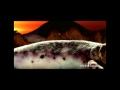 Fatboy Slim - Right Here, Right Now (Coyu Radio ...