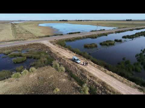Vuelo dron DJI Neo 2. Laguna cercanías a General Pico La Pampa 