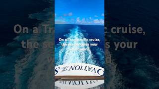 Transpacific Cruise Life: Ocean Views for Days