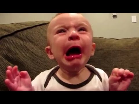 תינוקות טועמים לימון בפעם הראשונה