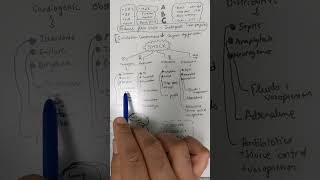 SHOCK - Definition, Classification, Approach and Management