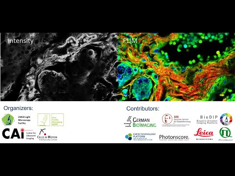 Workshop 5: Tau-STED - application of lifetime measurement in super-resolution microscopy