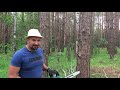 Grandininis pjūklas Makita DUC355Z 2x18V be akumuliatoriaus ir kroviklio
