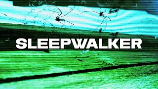 Sleepwalker by Macëy