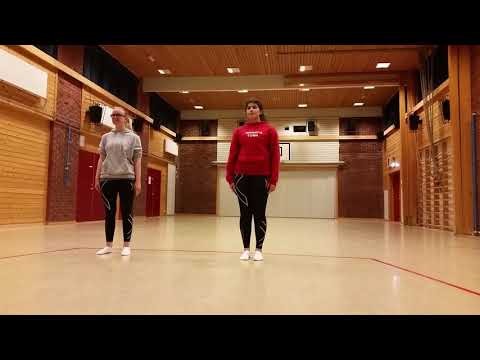 6-12 dans høst 2017 4-6.kl