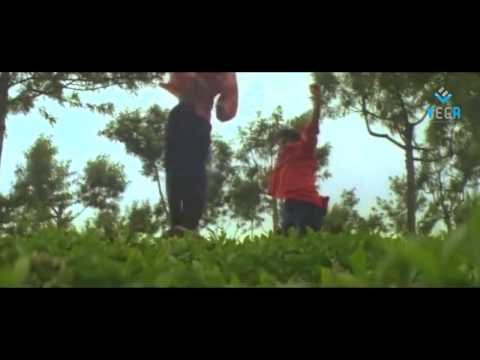 Muddula Menalludu Movie - Balakrishna Fight Scene