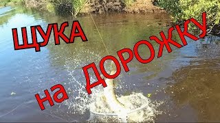 Ловля рыбы на сетевую дорожку с берега