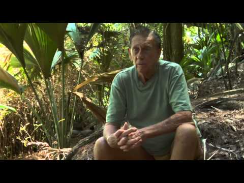 רובינזון קרוזו חי באיי סיישל והוא בן 86!