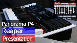 Video thumbnail for Nektar Panorama P4 With Reaper by sonicstate
