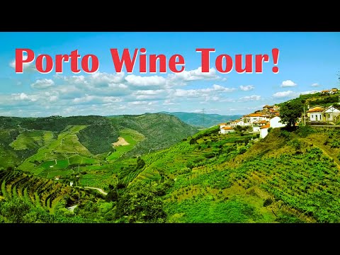 Porto, Portugal Wine Tour Down the Douro River | Douro Valley is SO BEAUTIFUL, But Worth It?