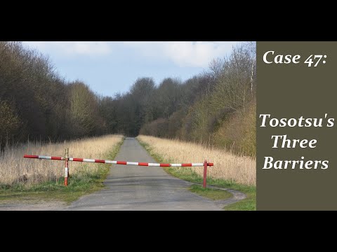 Zen Koans with an Advaita Twist - Mumonkan 47 - Tosotsu's Three Barriers