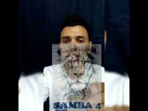 Real Mocidade Santista 2021 Samba 4 concorrente.