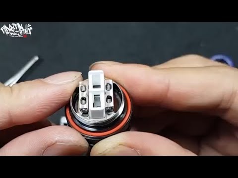 BLITZ INTREPID RTA Review