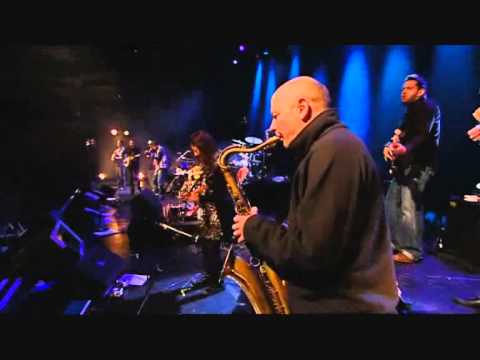 Sharon Shannon - Neckbelly - Live at INEC