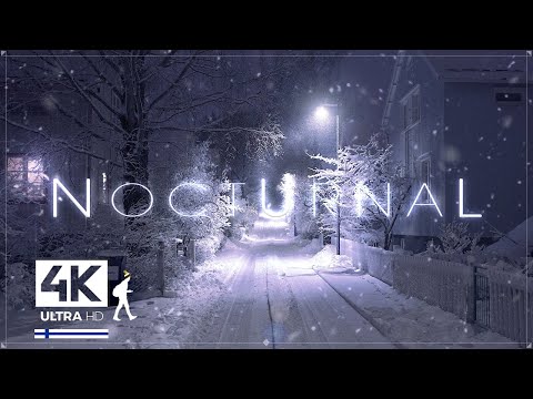 3 Hours of Pure Heavy Snowfall Night Walks in Finland - Slow TV 4K