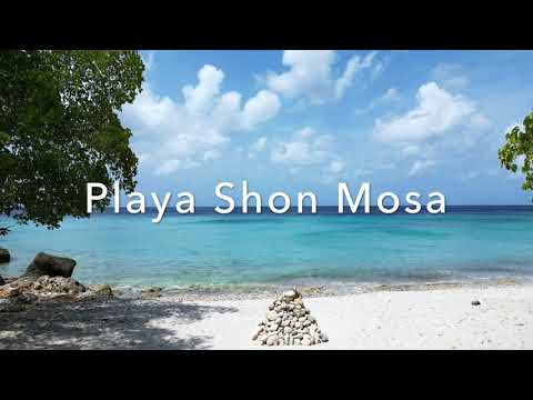 Curacao | Diving Playa Shon Mosa & Playa Chiki