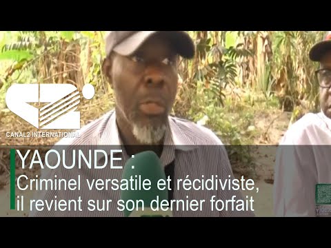 6:15 p.m. News, 02/02/2026 - Canal 2 international